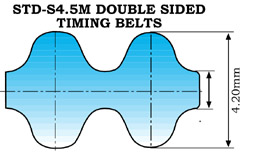 A Section