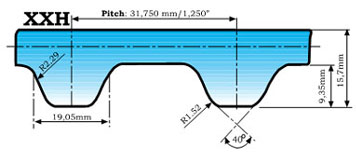 A Section