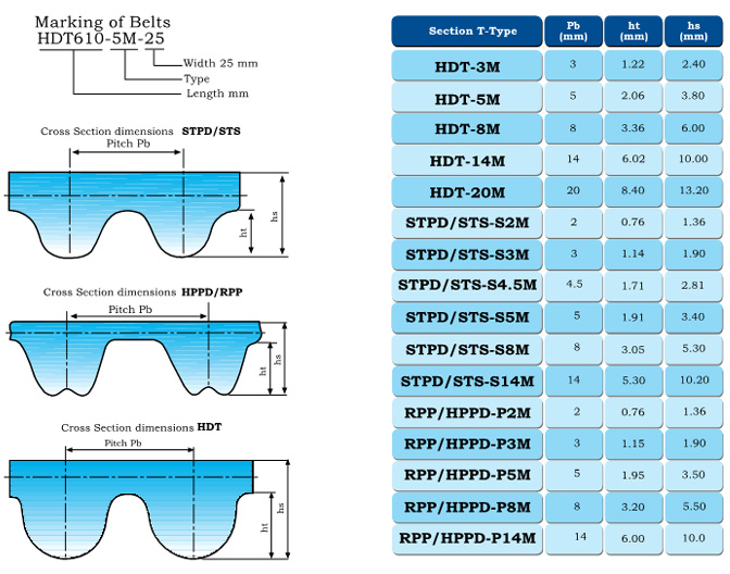 HDT  SYNCHRONOUS BELTS