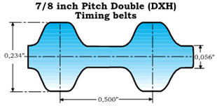 A Section