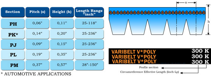 MULTIRIB (POLY-V) BELTS