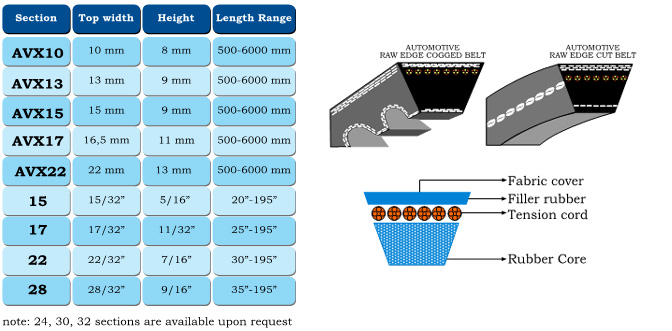 AUTOMOTIVE COGGED V-BELTS