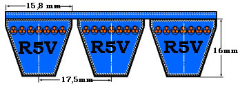 A Section
