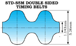 A Section